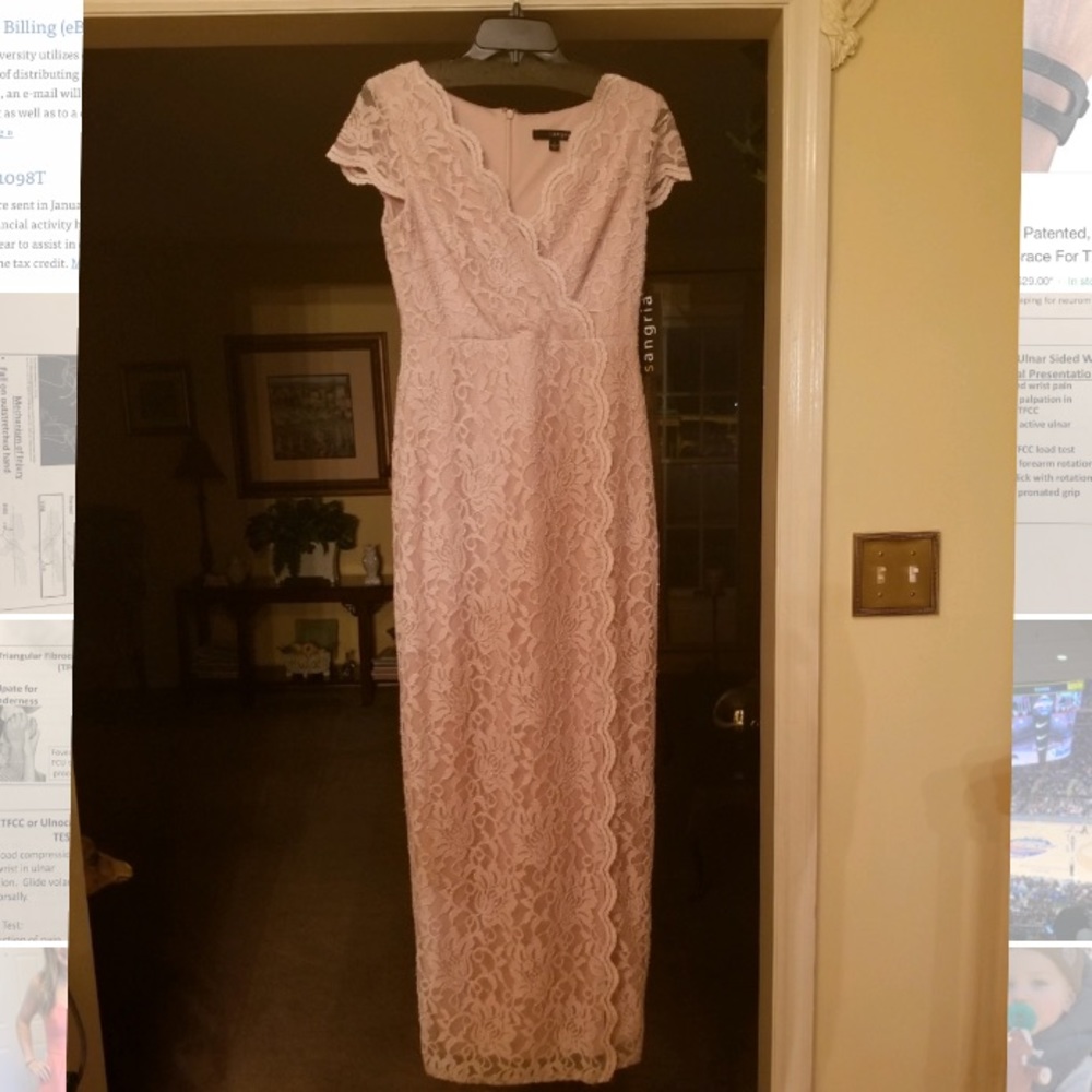 Blush lace gown